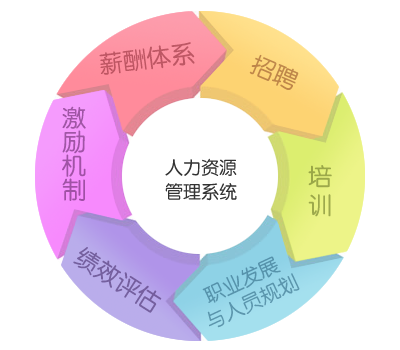 慧扬视角 人力资源规划如何成为医院管理咨询的核心引擎